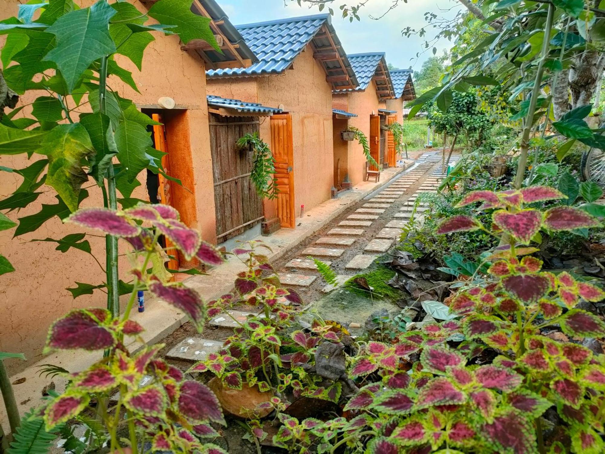 Ly Danh Homestay Quan Ba Habitación foto